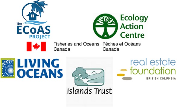 Logos of the Partners and Sponsors