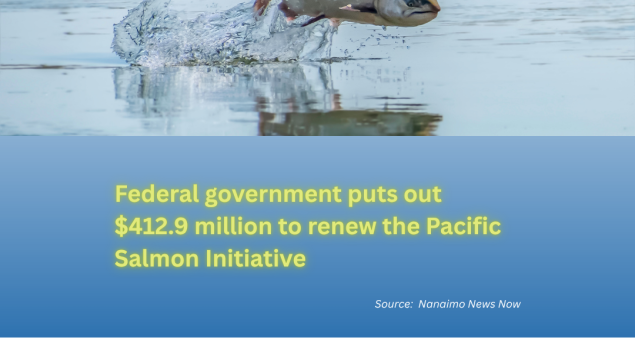Photo of leaping salmon and title underneath Federal government puts out $412.9 million to renew the Pacific Salmon Initiative