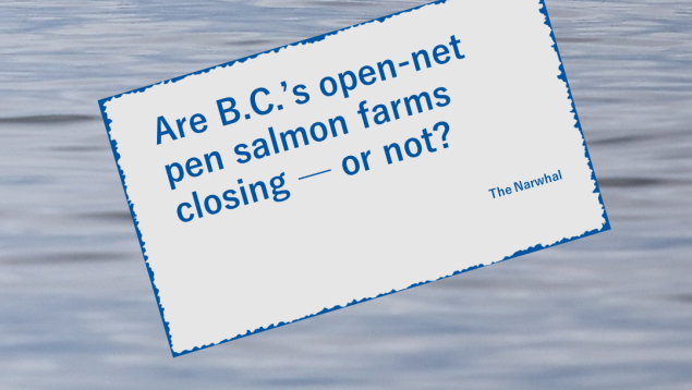 News flash: Are B.C.’s open-net pen salmon farms closing — or not?