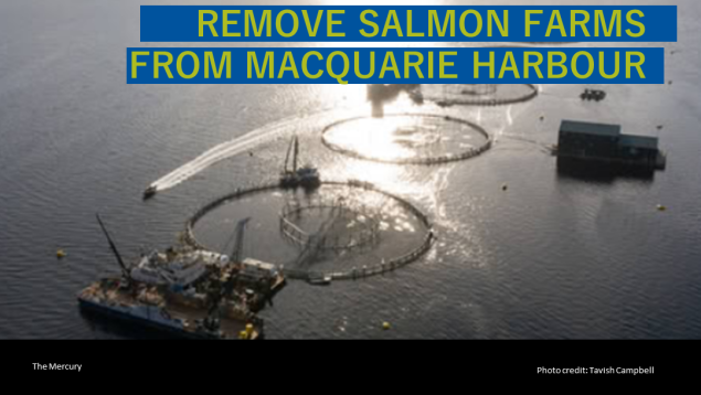 image of salmon farm with title Australian government must take step of heeding science and remove salmon farms from Macquarie Harbour image of salmon farm with title Australian government must take step of heeding science and remove salmon farms from Macquarie Harbour