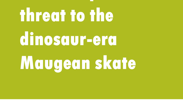 title on green background Maugean skate still faces 'catastrophic' risk from salmon farming, Commonwealth advice says