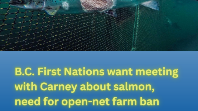 photo of asalmon in a pen with large legion on its body photo credit Alex Morton title B.C. First Nations want meeting with Carney about salmon, need for open-net farm ban photo of asalmon in a pen with large legion on its body photo credit Alex Morton title B.C. First Nations want meeting with Carney about salmon, need for open-net farm ban