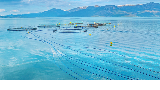 ocean net pen salmon farm in bright blue water with mountains in the background ocean net pen salmon farm in bright blue water with mountains in the background