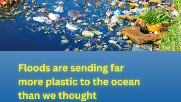 image of plastic debris in a river amongst reeds with title Floods are sending far more plastic to the ocean than we thought