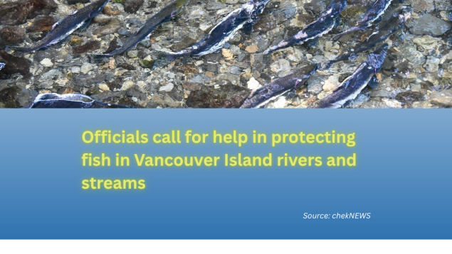 image of salmon in river above and title Officials call for help in protecting fish in Vancouver Island rivers and streams below with LOS logo and catch phrase image of salmon in river above and title Officials call for help in protecting fish in Vancouver Island rivers and streams below with LOS logo and catch phrase