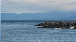 far off coastal image with title ‘Very unique’: Pod of killer whales seen rubbing bellies on rocks off B.C.'s Sunshine Coast