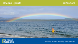 rainbow over ocean Oceans Update June 2025 header