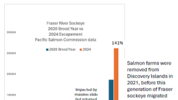 Fraser River Sockeye 2020 brood vs 2024 escapement bar graph