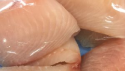 ASC CERTIFICATION LABEL ON PHOTO OF PACKAGED FISH