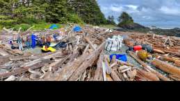 CTC team and driftwood