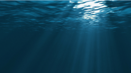 news template Ucluelet seafood company fined 25K for 2 years of repeated waste violations