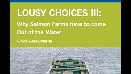 Lousy Choices III: Why Salmon Farms have to come Out of the Water