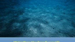 Mining Firms May Soon Bypass UN Rules and Mine the Deep Sea title imposed on underwater photo of oceanbed