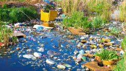 image of plastic debris in a river amongst reeds with title Floods are sending far more plastic to the ocean than we thought