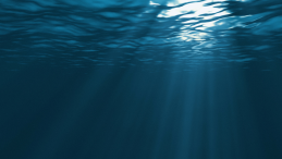 news template title Forbes article The Next ESG Flashpoint: Supermarkets And Species Loss
