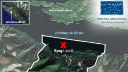 Satellite map of barge spill