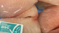 ASC CERTIFICATION LABEL ON PHOTO OF PACKAGED FISH