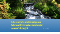 image above of creek running through forest with title below B.C. restricts water usage on Salmon River watershed amid 'severe' drought