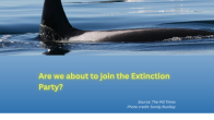 image of SRKW above title "Are we about to join the Extinction Party?" Photo credit: Sandy Buckley