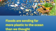 image of plastic debris in a river amongst reeds with title Floods are sending far more plastic to the ocean than we thought